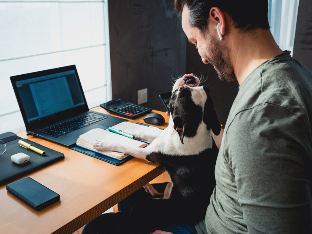 shutterstock_1717415167 (1)